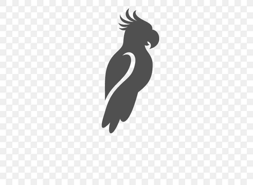 Beak Flightless Bird Logo Silhouette, PNG, 600x600px, Beak, Bird, Black, Black And White, Black M Download Free