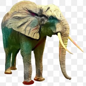Asian Elephant Clip Art Image PNG