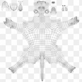 Starfish - White Starfish Pattern PNG