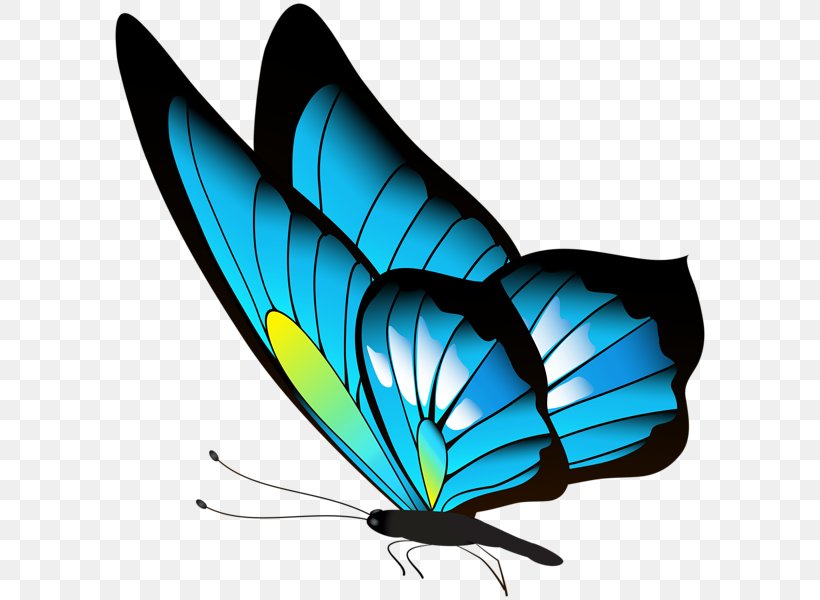 Butterfly Clip Art, PNG, 596x600px, Butterfly, Art, Brush Footed Butterfly, Butterflies And Moths, Insect Download Free
