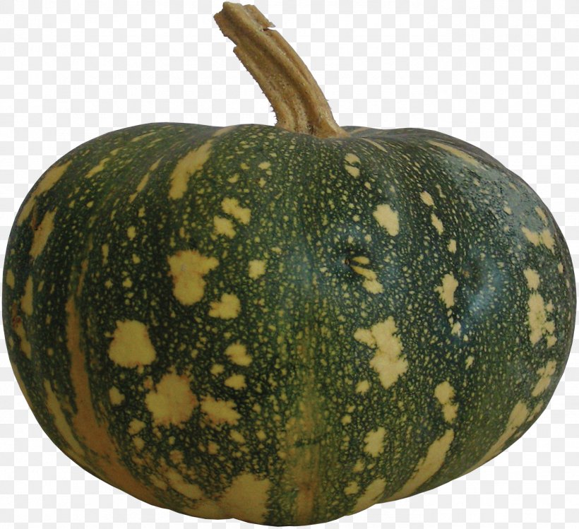 Pumpkin Figleaf Gourd Calabaza Melon Winter Squash, PNG, 1389x1270px, Pumpkin, Calabaza, Character, Cucumber Gourd And Melon Family, Cucurbita Download Free