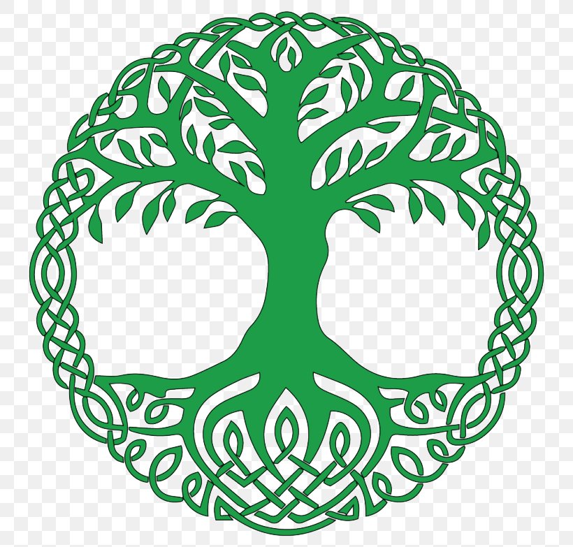 Tree Of Life Symbol Yggdrasil Image, PNG, 768x783px, Tree Of Life, Celtic Art, Culture, Green, Idea Download Free
