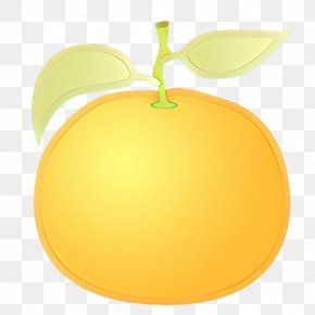 Sweet Lemon Fruit Tree - Lemon Tree PNG