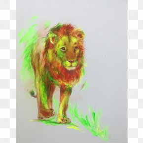 Lion - Lion African Wild Dog Leopard Giraffe Felidae PNG