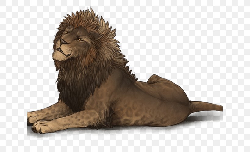 Lion Big Cat Terrestrial Animal Fur, PNG, 640x500px, Lion, Animal, Big Cat, Big Cats, Carnivoran Download Free