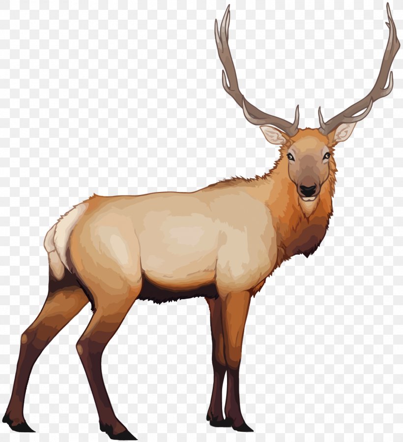 Reindeer Elk Cartoon, PNG, 1500x1644px, Deer, Antelope, Antler, Cartoon, Elk Download Free