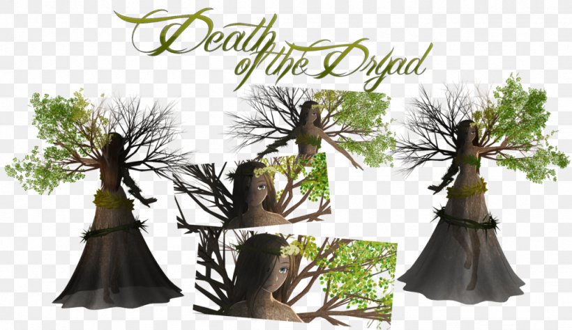 Death Dryad Tree Art Life, PNG, 1024x593px, Death, Art, Artist, Deviantart, Dryad Download Free