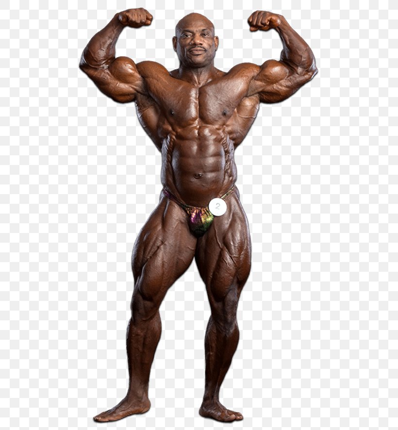 Dexter Jackson Arnold Sports Festival 2016 Mr. Olympia Masters Olympia Bodybuilding, PNG, 503x886px, Watercolor, Cartoon, Flower, Frame, Heart Download Free