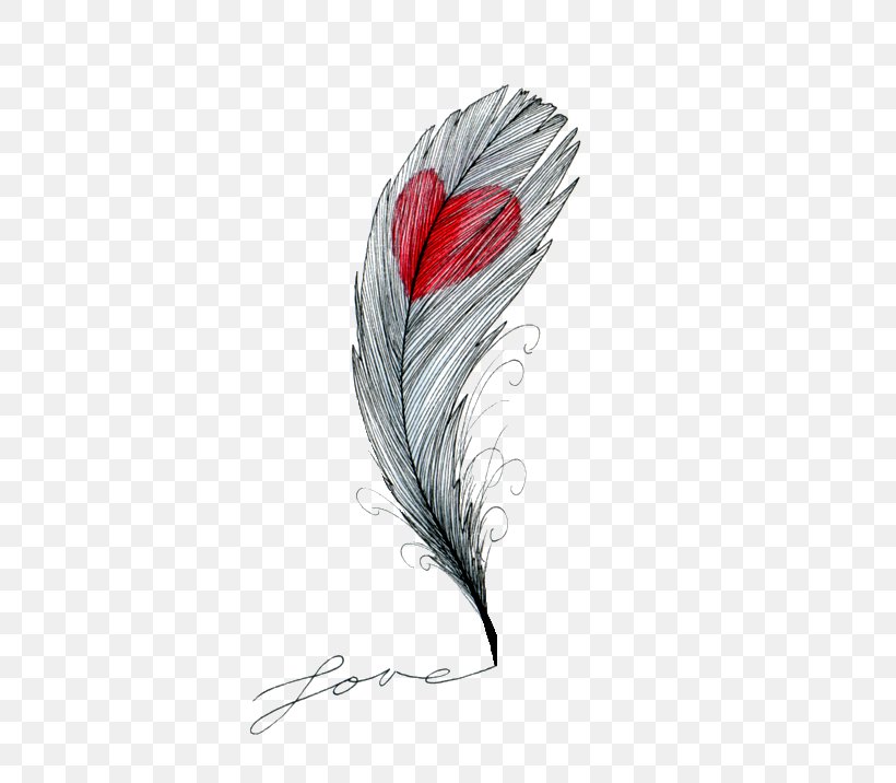 Drawing Feather Heart Sketch, PNG, 500x716px, Drawing, Black And White, Colored Pencil, Feather, Heart Download Free