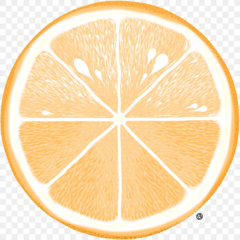 Grapefruit Lemon Citric Acid Circle, PNG, 1024x1024px, Grapefruit, Acid, Citric Acid, Citrus, Food Download Free