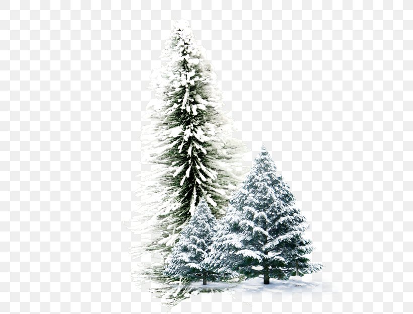 Winter Wallpaper, PNG, 794x624px, Christmas, Christmas Decoration, Christmas Ornament, Christmas Tree, Conifer Download Free