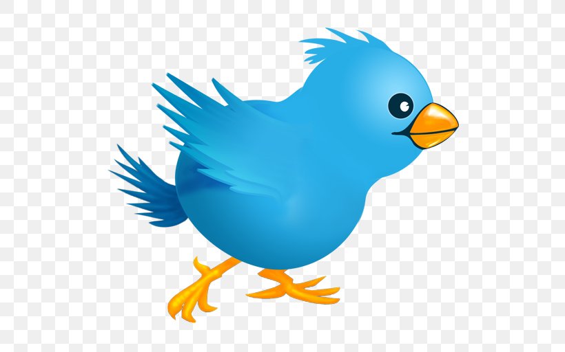 Social Media Logo Download, PNG, 512x512px, Social Media, Artwork, Avatar, Beak, Bird Download Free