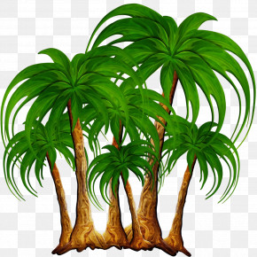 Palm Trees PNG