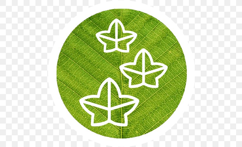 Symbol Logo Leaf, PNG, 500x500px, Symbol, Grass, Green, Leaf, Logo Download Free