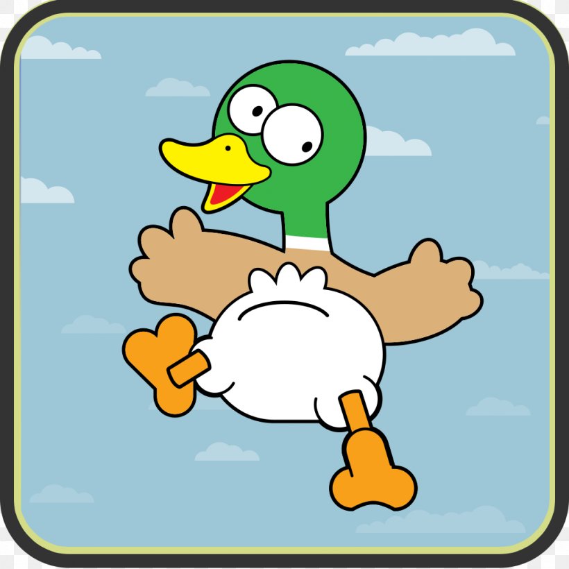 Mallard Call Duck, PNG, 1024x1024px, Mallard, Anas, Area, Beak, Bird Download Free