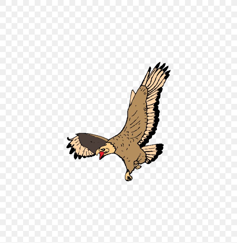 Bald Eagle Drawing, PNG, 595x842px, Bald Eagle, Accipitriformes, Animation, Architecture, Arts Download Free