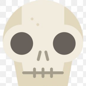 Anatomy PNG