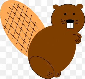 Beaver - North American Beaver Clip Art PNG