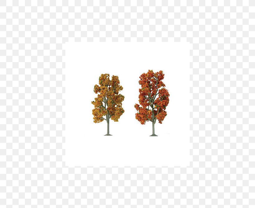 O Scale Tree American Sycamore Pine Autumn, PNG, 540x670px, O Scale, American Sycamore, Autumn, Deciduous, Ho Scale Download Free