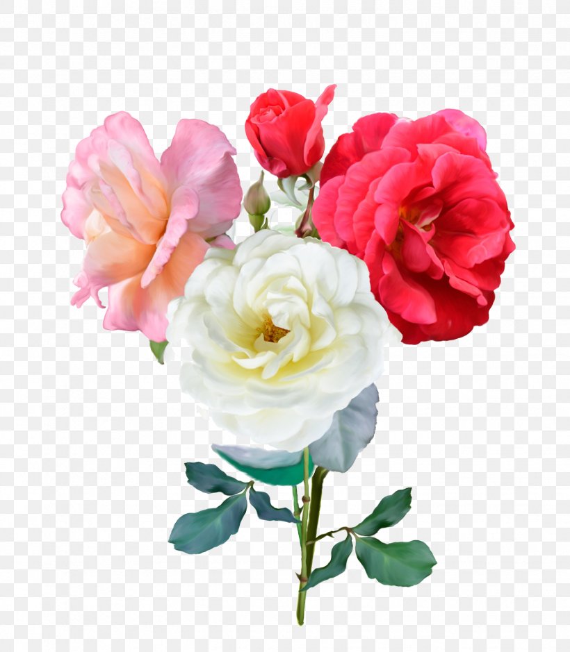 Rose Stock Photography Illustration, PNG, 1747x2001px, Rose, Alamy, Annual Plant, Artificial Flower, Carnation Download Free