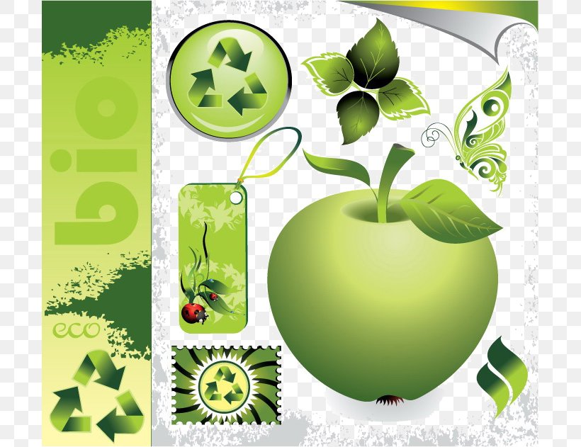 Ecology Euclidean Vector Green Photography, PNG, 701x631px, Ecology, Apple, Element, Food, Fruit Download Free
