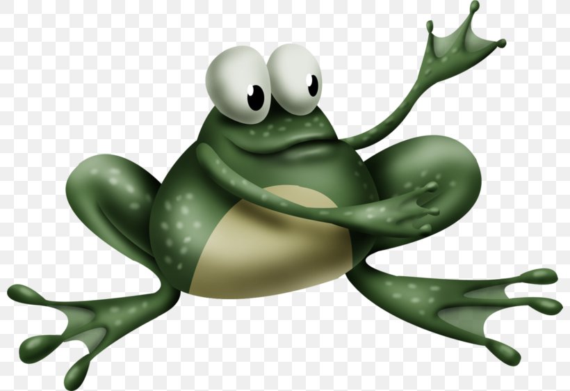 Frog Image Drawing Animation, PNG, 800x562px, Frog, Amphibian, Amphibians, Animal, Animal Figure Download Free