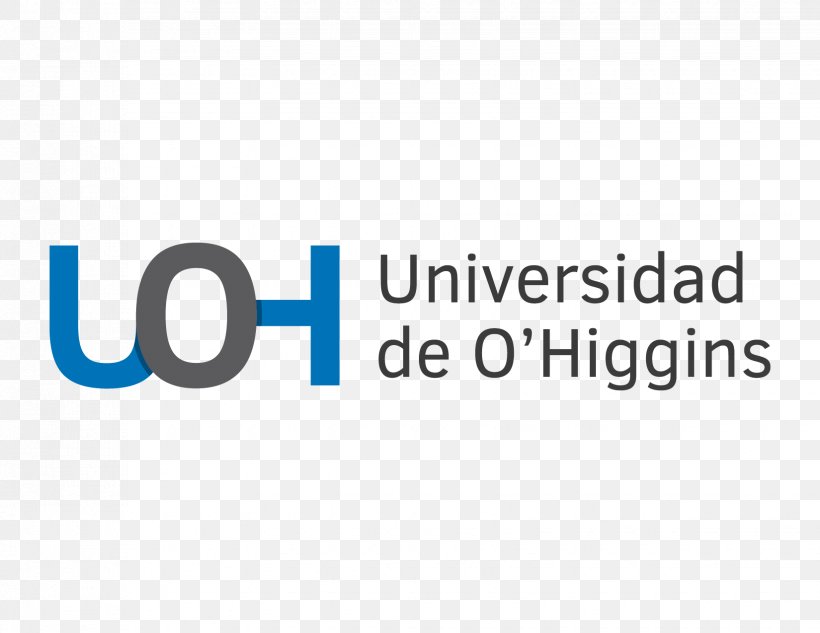 Pontificia Universidad Católica Del Ecuador University Of La Laguna University Of Magallanes University Of Los Lagos, PNG, 1650x1275px, University, Area, Blue, Brand, Diagram Download Free
