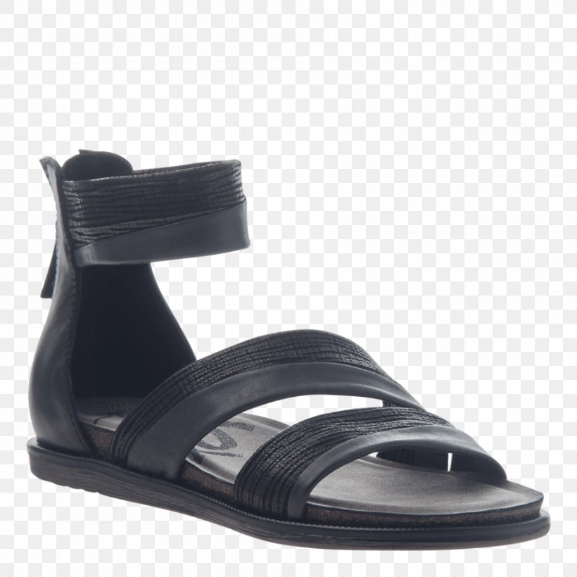 Slipper Sandal Shoe Boot Wedge, PNG, 900x900px, Slipper, Ballet Flat, Black, Boot, Footwear Download Free