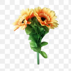 Flower - Transvaal Daisy Close-up Magic Cut Flowers PNG
