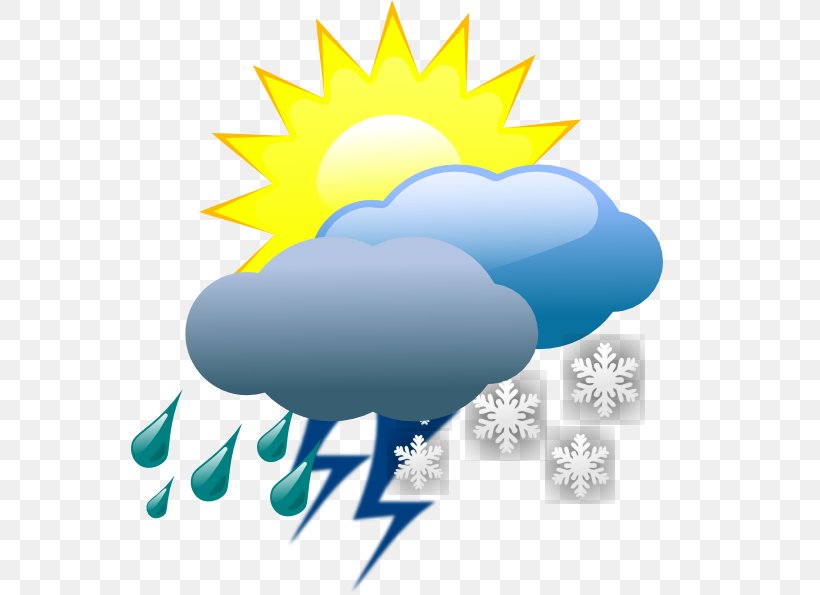 Weather Forecasting Symbol Clip Art, PNG, 558x595px, Weather, Cloud, Flower, Meteorology, Rain Download Free