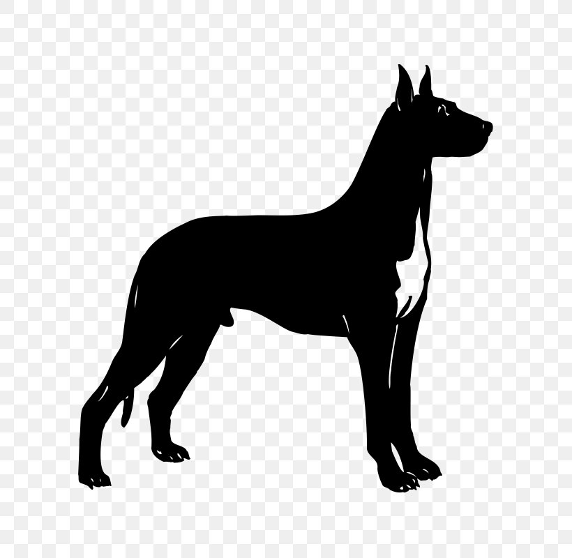 Dobermann Cat Dog Breed Clip Art, PNG, 800x800px, Dobermann, Black, Black And White, Breed, Carnivoran Download Free