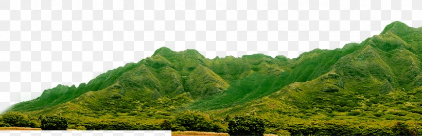 Peak Mountain Gratis, PNG, 1336x435px, Peak Mountain, Chart, Designer, Elevation, Grass Download Free