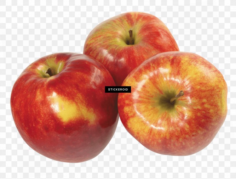 Apple Cartoon, PNG, 3258x2473px, Apple, Accessory Fruit, Drupe, Food, Fruit Download Free