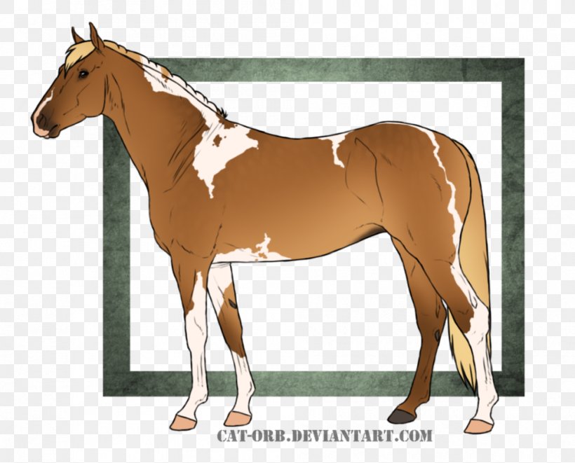 Foal Mane Stallion Mare Bridle, PNG, 995x803px, Foal, Bridle, Colt, Halter, Horse Download Free