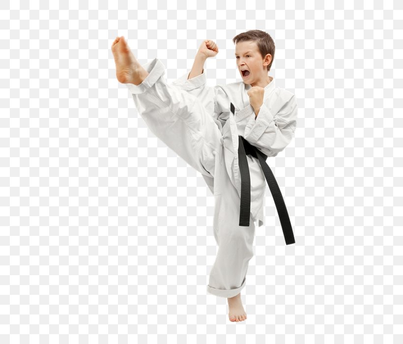 Kick Taekwondo Martial Arts Karate Kenpō, PNG, 443x700px, Kick, Arm, Child, Costume, Dobok Download Free