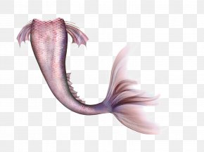 Mermaid Tail - Mermaid Legendary Creature Fairy Tail PNG