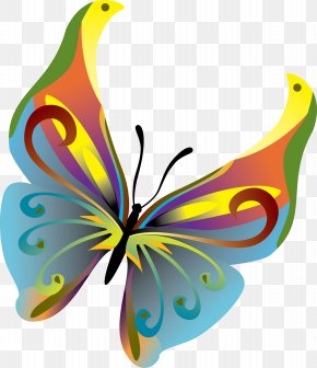 Pigeon Picture Material Butterfly - Monarch Butterfly Insect Clip Art PNG