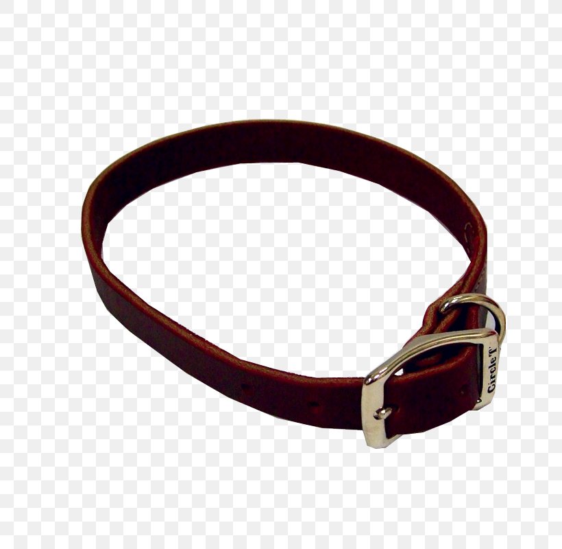 Belt Buckles Dog Collar, PNG, 800x800px, Belt Buckles, Belt, Belt Buckle, Buckle, Collar Download Free