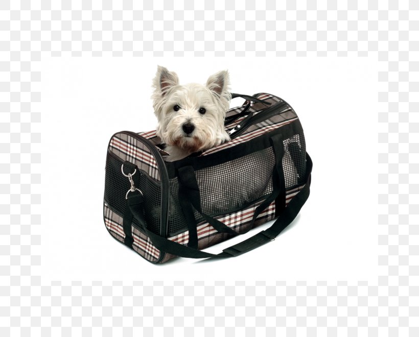 Dog Lucas Y Lola Handbag Cat, PNG, 660x660px, Dog, Bag, Burberry, Cat, Companion Dog Download Free