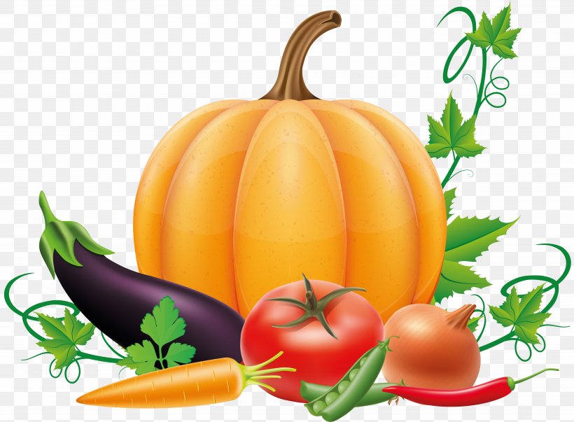 Drawing Of Family, PNG, 9794x7205px, Drawing, Autumn, Calabaza, Capsicum, Cartoon Download Free