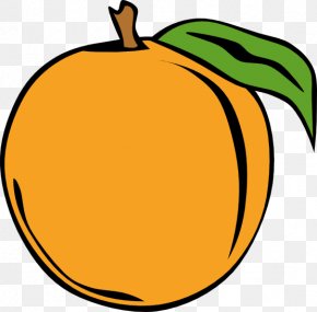 Minimalist Menu - Peach Clip Art PNG