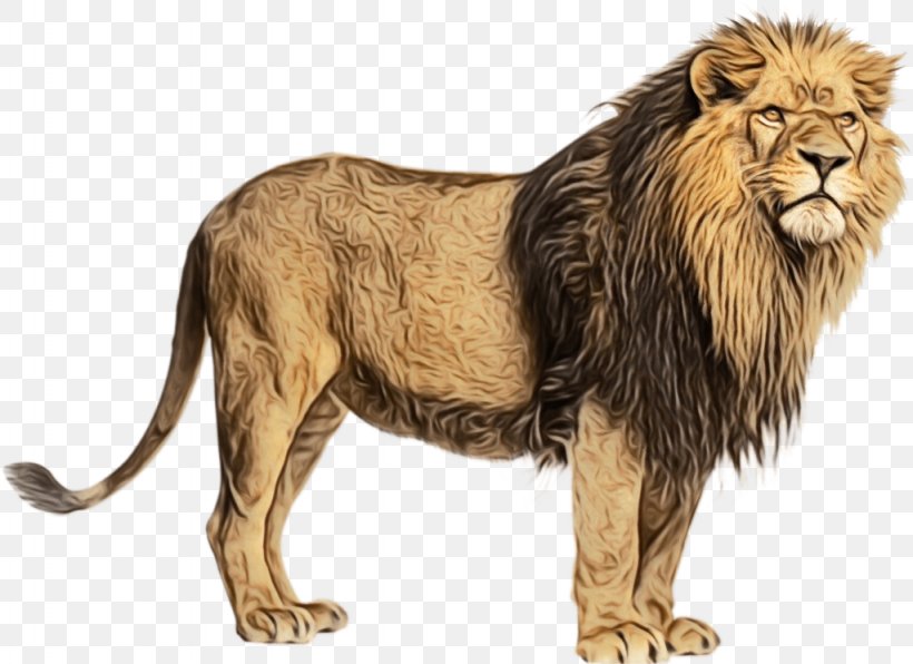 Cats Cartoon, PNG, 1024x745px, Lion, Alamy, Animal Figure, Lions Roar, Masai Lion Download Free