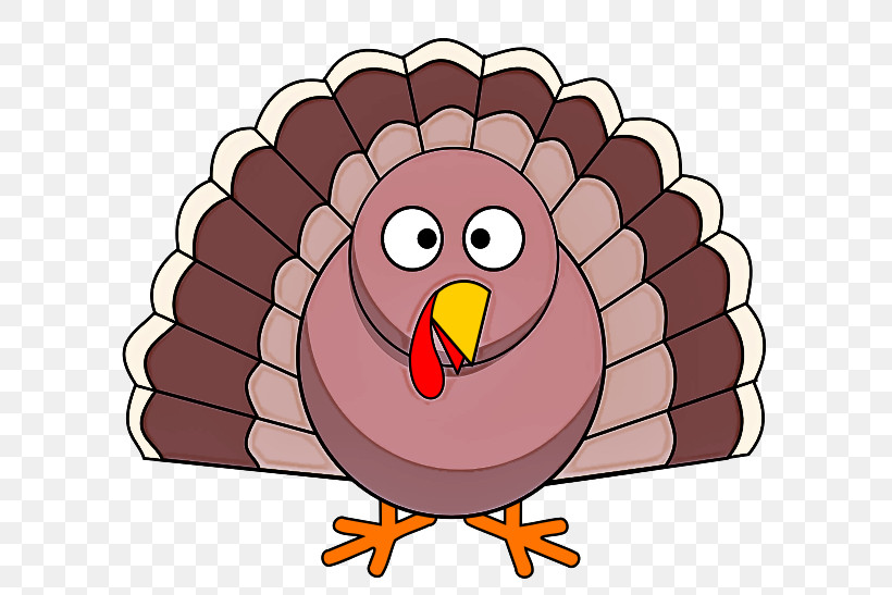 Thanksgiving, PNG, 654x547px, Cartoon, Beak, Bird, Bird Of Prey, Thanksgiving Download Free