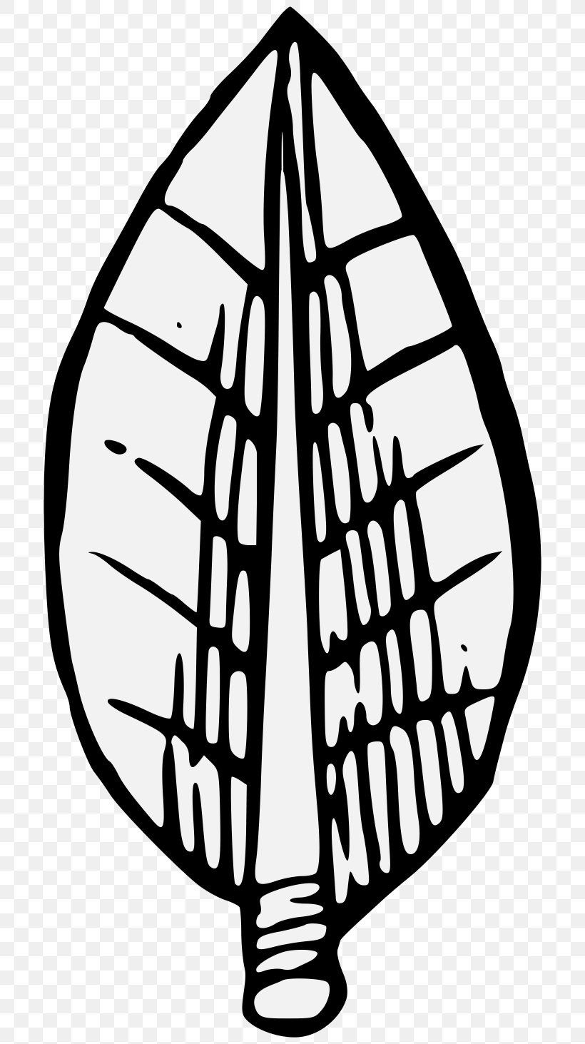 A Display Of Heraldrie Bay Laurel Leaf Clip Art, PNG, 716x1463px, Display Of Heraldrie, Acanthus, Artwork, Bay Laurel, Black And White Download Free