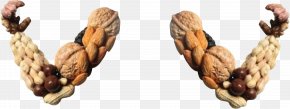 Nuts Arm - Amway Nutrilite Advertising Publicity PNG