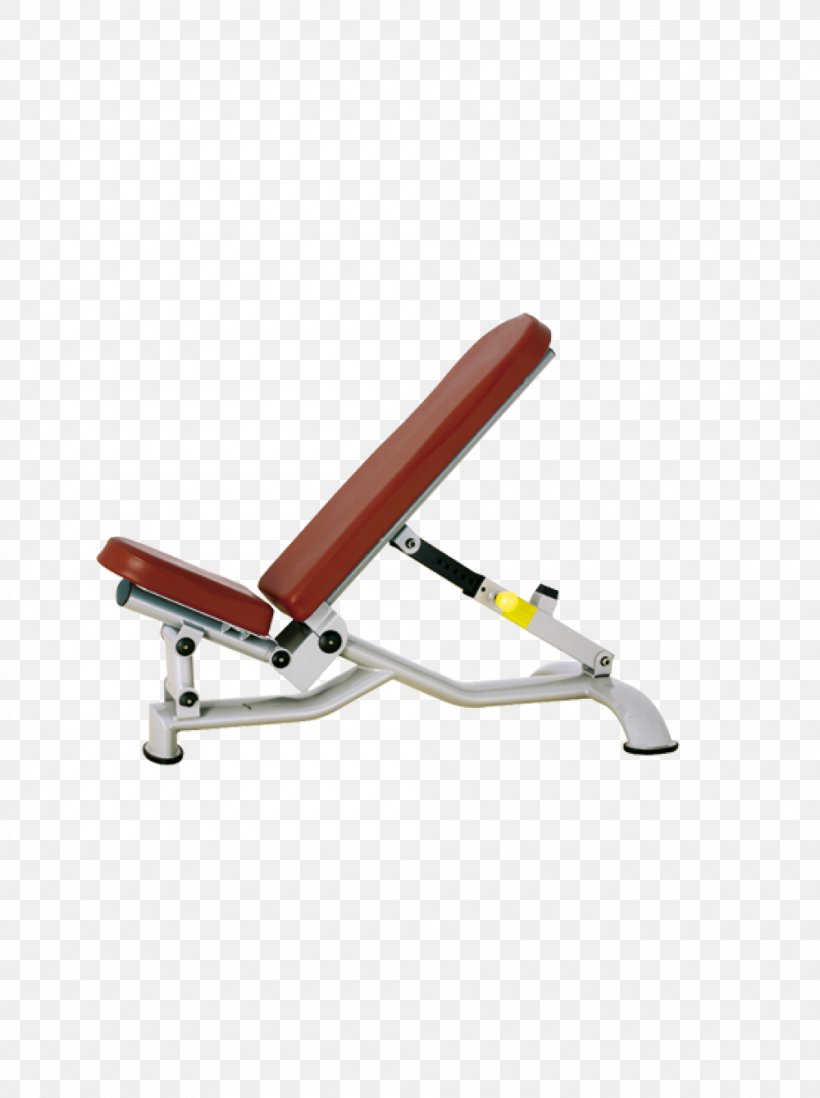 Bench Press Fitness Centre Exercise Equipment Physical Fitness, PNG, 1000x1340px, Bench, Barbell, Bench Press, Biceps Curl, Exercise Equipment Download Free