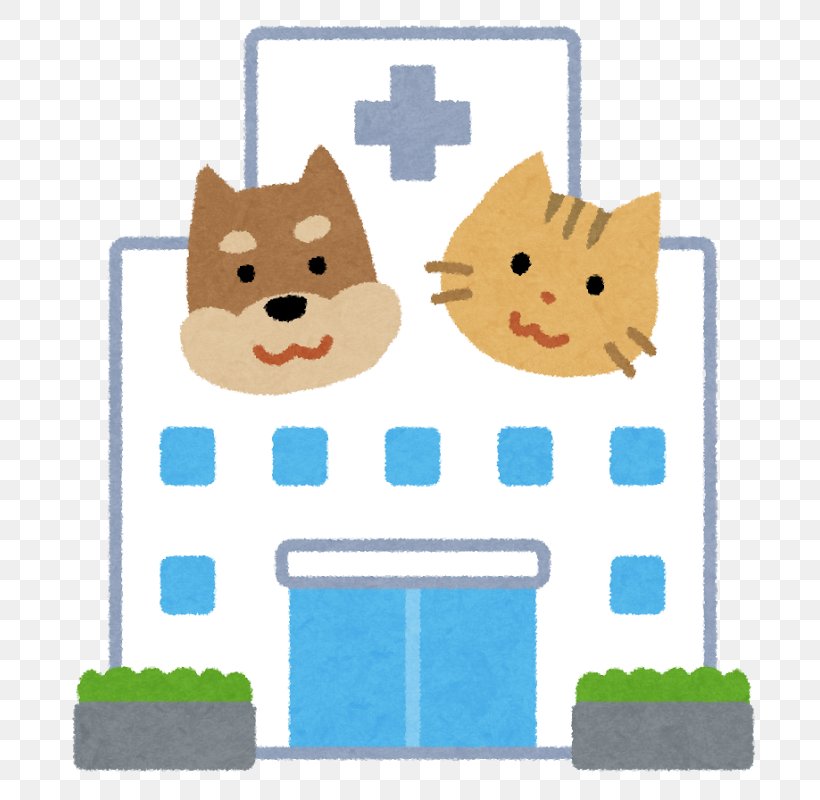 Clinique Vétérinaire Veterinarian Nurse 診療 Hospital, PNG, 757x800px, Veterinarian, Cat, Cat Like Mammal, Diagnostic Test, Health Care Download Free