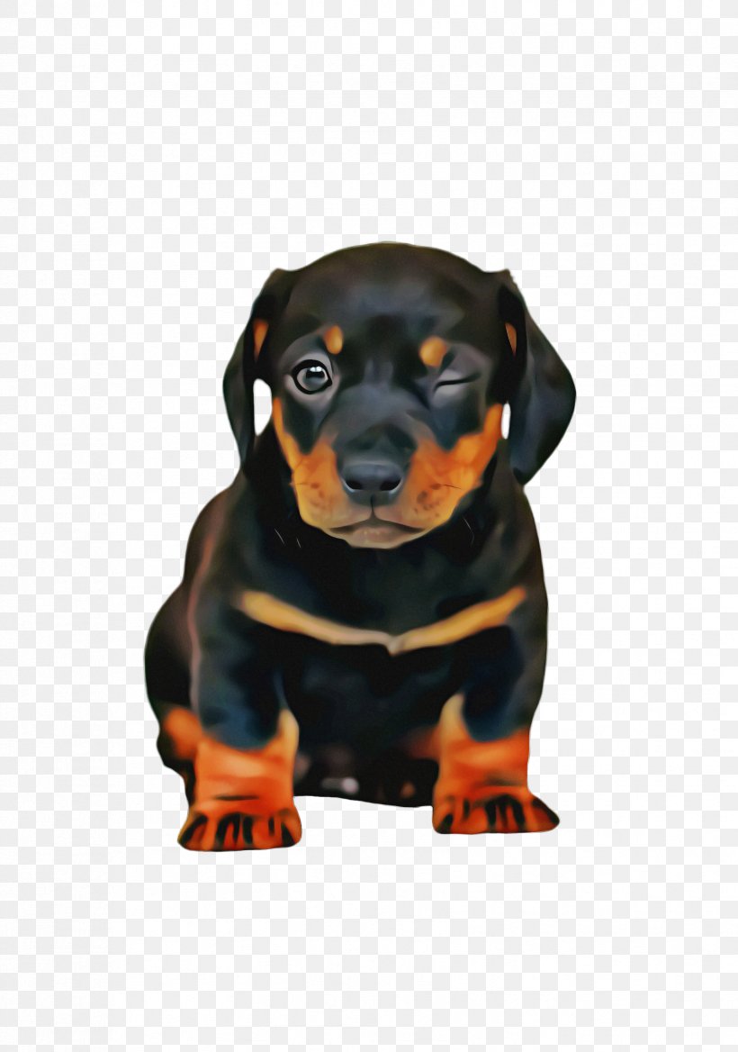 Cute Cartoon, PNG, 1676x2388px, Cute Dog, Animal, Austrian Black And Tan Hound, Black And Tan Coonhound, Black Tan Download Free