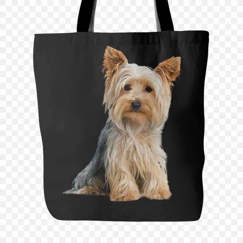 Yorkshire Terrier Australian Silky Terrier Cairn Terrier Dog Breed Companion Dog, PNG, 1024x1024px, Yorkshire Terrier, Australian Silky Terrier, Bag, Breed, Cairn Terrier Download Free