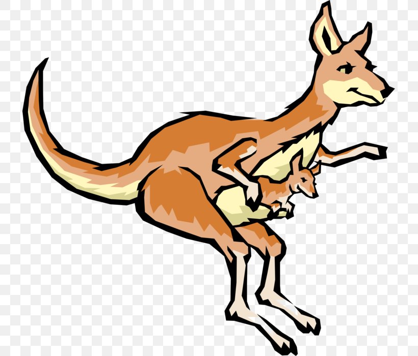 Animal Cartoon, PNG, 731x700px, Kangaroo, Animal, Animal Figure, Cartoon, Drawing Download Free